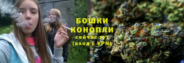 молекула духа Белокуриха
